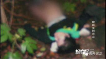 变态色魔在线观看,网络深渊中的罪恶之旅  第2张